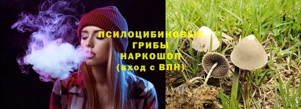 прущая мука Бронницы