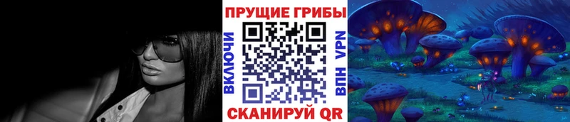 где купить наркотик  блэк спрут ONION  Галлюциногенные грибы мухоморы  Верея 