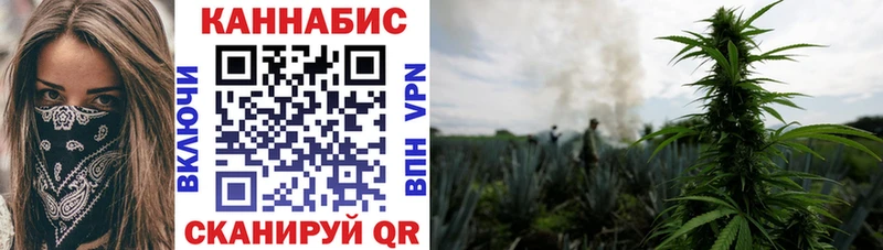 Бошки Шишки марихуана Верея